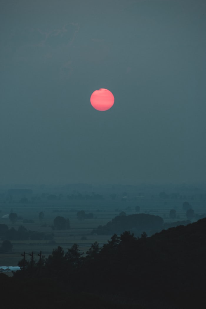 pink moon